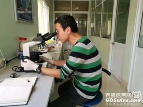 正典球苗技术服务团队 专业力量走出国门，赋能全球客户养殖新高度