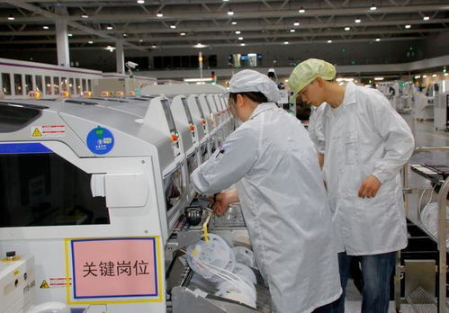 芯片获最高认证，两江新区硬科技开启技术服务新篇章